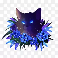 须花植物-空若网 须花植物-空若网