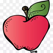 ѧУ��ʦ���ͼ�����-���ͷƻ��������-������