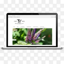 多媒体花卉计算机显示器.花卉-空若网 多媒体花卉计算机显示器.花卉-空若网