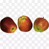 ƻ���¸���˹��԰-ƻ��-������