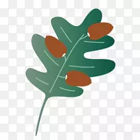 Ҷֲ�ﾥ������-������