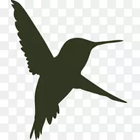 喙鸟,翅膀,野生动物,羽毛鸟-空若网 喙鸟,翅膀,野生动物,羽毛鸟-空若网