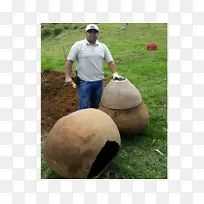 Ê÷-Ê÷-¿ÕÈôÍø Ê÷-Ê÷-¿ÕÈôÍø