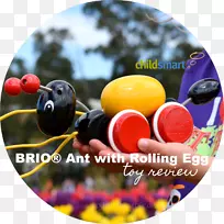 ����ʳƷ��߼�ͥ-����-������