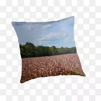 ����Ͷ����ͷ��������ͷ-������