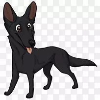 澳大利亚海带犬种红狐尾靴-空若网 澳大利亚海带犬种红狐尾靴-空若网