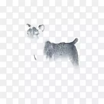 培育小狗鼻子-小狗-空若网 培育小狗鼻子-小狗-空若网