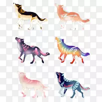 猫猫-空若网 猫猫-空若网