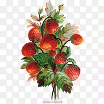 草莓超食天然食品-空若网 草莓超食天然食品-空若网