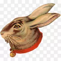 ����Ұ��Ұ������-����-������