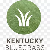 ��־����ɫƷ������-����-������