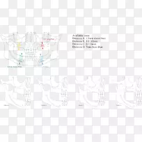 平面设计纸草图.数据分类-空若网 平面设计纸草图.数据分类-空若网