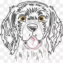 犬种幼犬须巴伐利亚山区猎犬阿拉诺埃斯帕诺-小狗-空若网 犬种幼犬须巴伐利亚山区猎犬阿拉诺埃斯帕诺-小狗-空若网