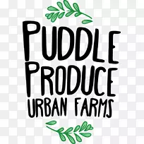 ��־������������-������