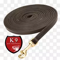 带狗铅-空若网 带狗铅-空若网