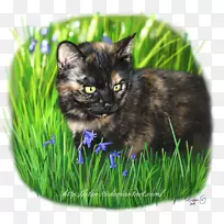 ������ëè�ƶ������è-������