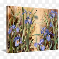 ��Ұ��޹�²�-������