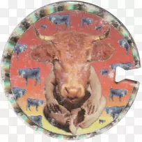 ��ñ-������