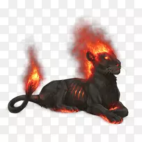 猫鼻猫-空若网 猫鼻猫-空若网