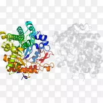 树食线剪贴画-树-空若网 树食线剪贴画-树-空若网