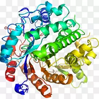 艺术身体珠宝有机体线剪贴画线-空若网 艺术身体珠宝有机体线剪贴画线-空若网