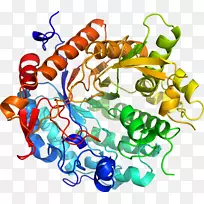 人体首饰有机体线剪贴画线-空若网 人体首饰有机体线剪贴画线-空若网