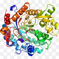 ���������鱦�л����߼�������-������