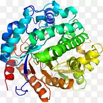 艺术身体珠宝有机体线剪贴画线-空若网 艺术身体珠宝有机体线剪贴画线-空若网