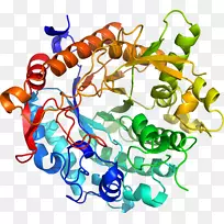 ���������л����߼�������-������