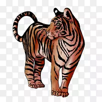 虎猫野生动物剪贴画-老虎-空若网 虎猫野生动物剪贴画-老虎-空若网