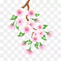 枝条插花艺术-花枝剪贴画-空若网 枝条插花艺术-花枝剪贴画-空若网