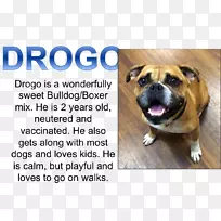 Ȯ���ӽ�Ȯ-������