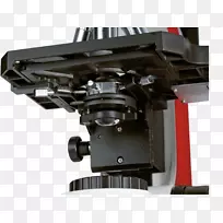 ӫ����΢������-������