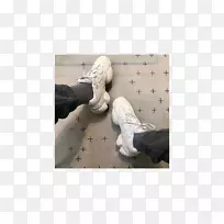 ���ϴ�˹+��Ү��Ь-������