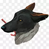 Ȯ��-������