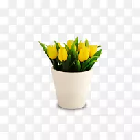 �����㻨���л�����-������-������