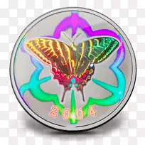 ��β�����ô�Ӳ�Ҷ�����β��-������