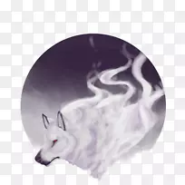 维多利亚鼻子-空若网 维多利亚鼻子-空若网