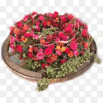 花卉设计切花花束花盆-花-空若网 花卉设计切花花束花盆-花-空若网