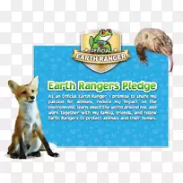 小狗须鼻子广告-小狗-空若网 小狗须鼻子广告-小狗-空若网