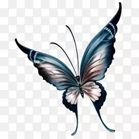 ����Ь����-����-������