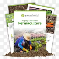 ���������Ϲ��-��-������