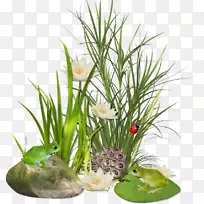 �ݡ��ޡ��ݡ���-������