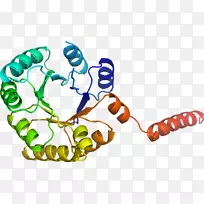 人体首饰有机体线剪贴画线-空若网 人体首饰有机体线剪贴画线-空若网