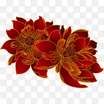 野莲花-红花-空若网 野莲花-红花-空若网