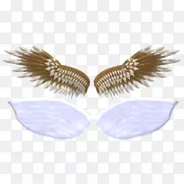 睫毛鸽翅-空若网 睫毛鸽翅-空若网