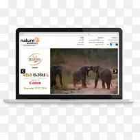 多媒体技术视频品牌技术-空若网 多媒体技术视频品牌技术-空若网