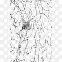 ����-ʵ�����������Ч��-������