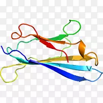 �ߵ������-��-������