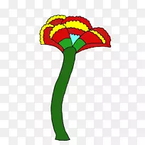 ���꿪��ֲ��Ҷ������-������